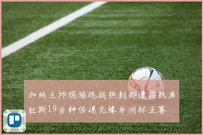 加纳主帅现场观战热刺却遭噩耗库杜斯19分钟伤退无缘非洲杯正赛